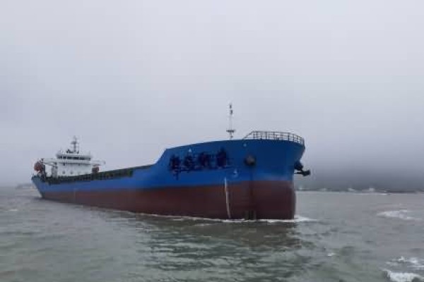 发展航运总部经济与船舶注册业，培育交易市场主体